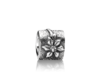 Pandora  Element aus Silber 790213